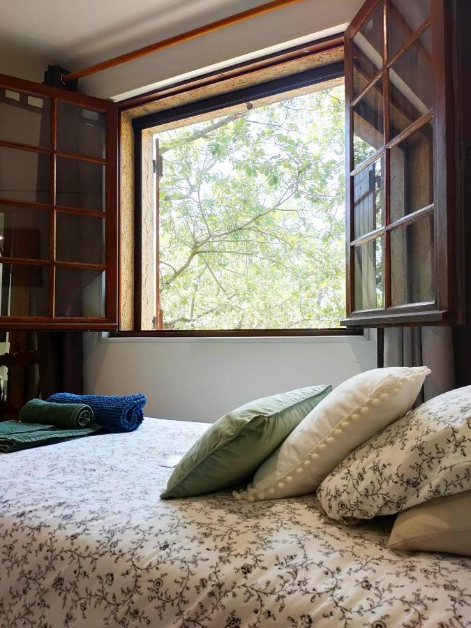 Villa Les Chariotins Draguignan Ngoại thất bức ảnh